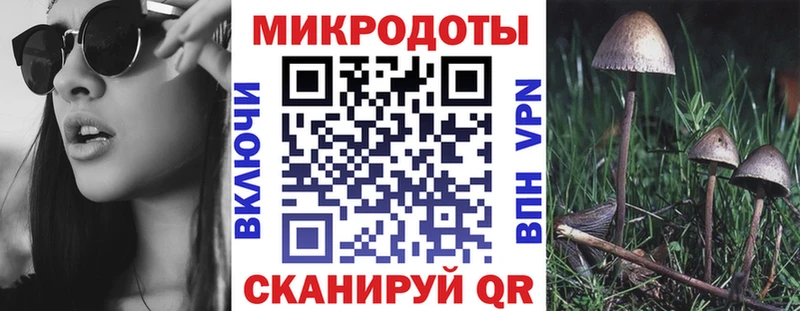 Купить где  Мичуринск  Псилоцибиновые грибы мухоморы 